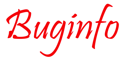 BugInfo Logo