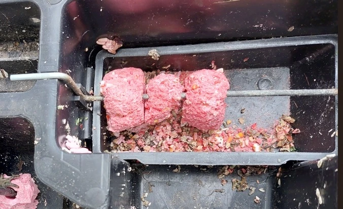 Rágcsálóirtó kocka